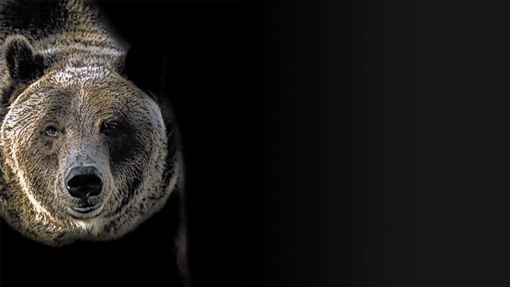 Automazione e Software per Costruttori Utensili e Stampi